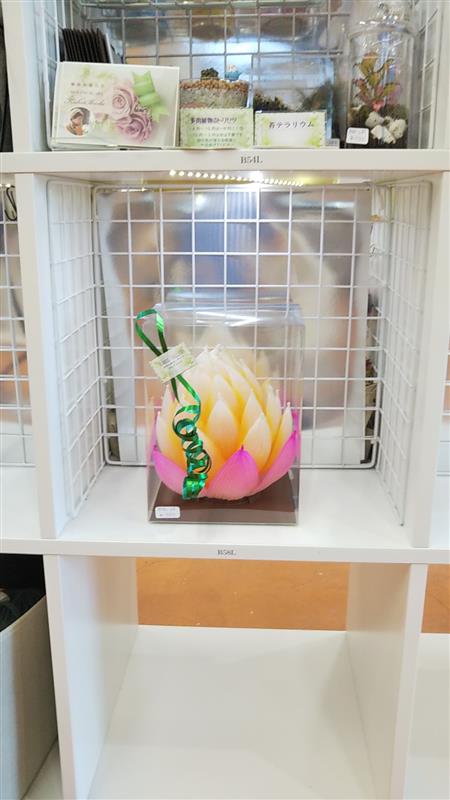 画像ロード中